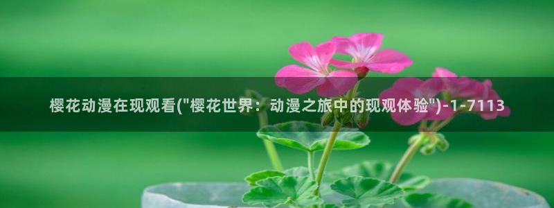 樱花动漫官：樱花动漫在现观看(\