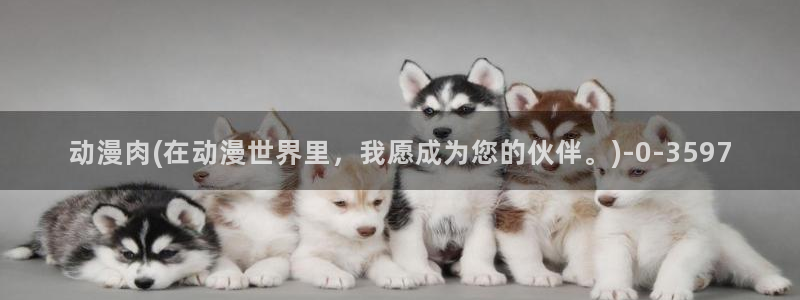 动漫美图