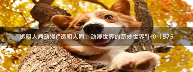 触手动漫
